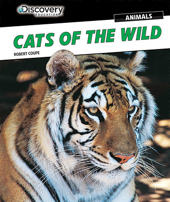 Discovery Education: Animals | Rosen Publishing Discovery Education: Animals | Rosen Publishing