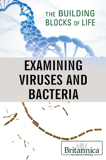 Examining Viruses and Bacteria book cover image