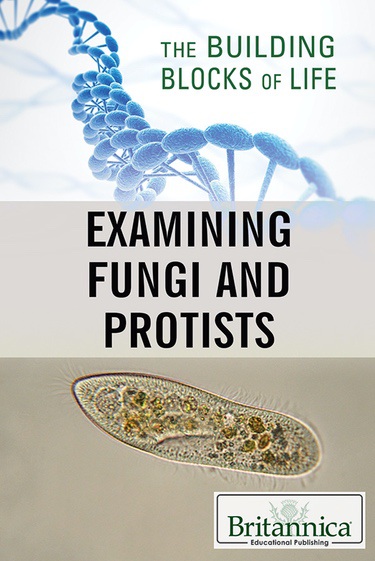 Examining Fungi and Protists book cover image