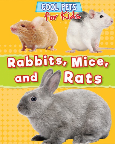 Rabbit mice shop