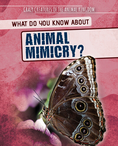 animal mimicry essay